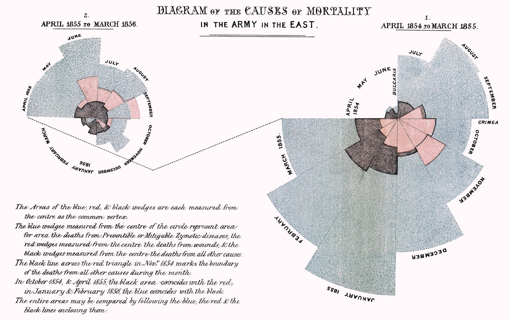 Nightingale's Rose Diagram